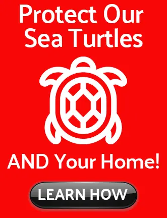 Protect Our Sea Turtles AND Your Home! LEARN HOW
