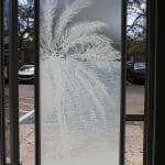 Frosted glass door panel with etched palm tree design, enhanced by decorative film, with a parking lot and cars visible outside.