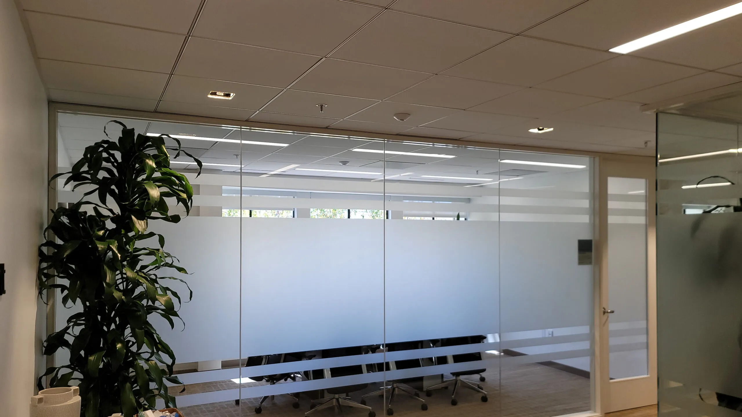 A glass-walled office meeting room with frosted privacy stripes, empty chairs on casters, a potted plant, and ceiling lights.