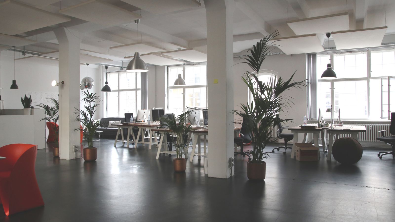 Afternoon sun and glare pour through untreated windows into a commercial office