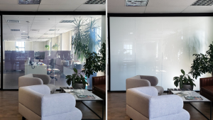 Office lounge glass wall clear on the left and frosted privacy film on the right