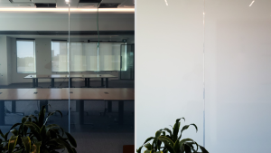 Office glass wall beside plants shown clear then opaque white with smart privacy film